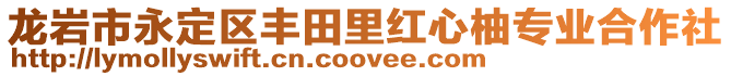 龍巖市永定區豐田里紅心柚專業合作社
