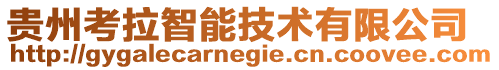 貴州考拉智能技術(shù)有限公司