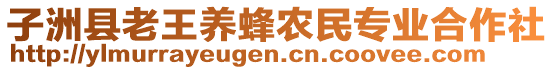 子洲縣老王養(yǎng)蜂農(nóng)民專業(yè)合作社