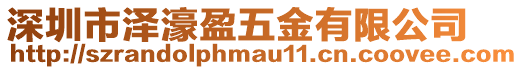 深圳市澤濠盈五金有限公司