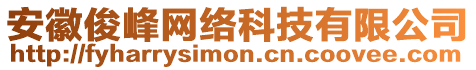 安徽俊峰网络科技有限公司