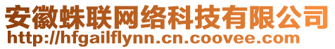 安徽蛛聯(lián)網(wǎng)絡(luò)科技有限公司