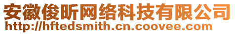 安徽俊昕網(wǎng)絡(luò)科技有限公司