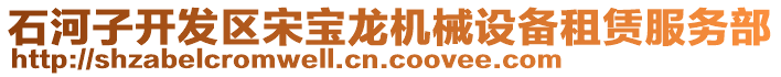 石河子開(kāi)發(fā)區(qū)宋寶龍機(jī)械設(shè)備租賃服務(wù)部