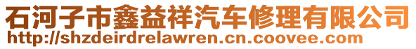 石河子市鑫益祥汽車(chē)修理有限公司