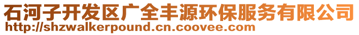 石河子開發(fā)區(qū)廣全豐源環(huán)保服務(wù)有限公司