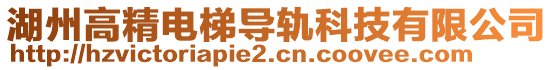 湖州高精電梯導(dǎo)軌科技有限公司