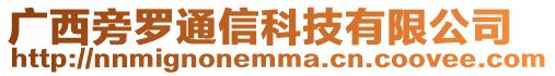 廣西旁羅通信科技有限公司