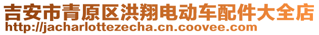 吉安市青原區(qū)洪翔電動(dòng)車配件大全店