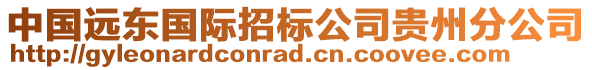 中國遠(yuǎn)東國際招標(biāo)公司貴州分公司