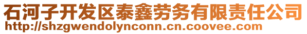 石河子開發區泰鑫勞務有限責任公司