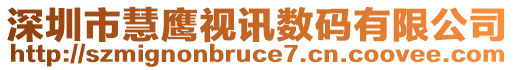 深圳市慧鷹視訊數碼有限公司