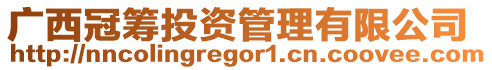 廣西冠籌投資管理有限公司