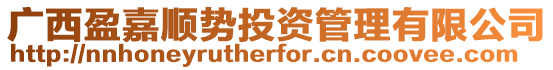 廣西盈嘉順勢投資管理有限公司