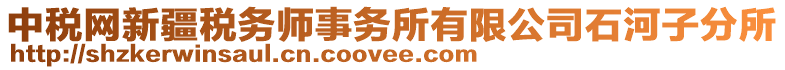 中稅網(wǎng)新疆稅務(wù)師事務(wù)所有限公司石河子分所