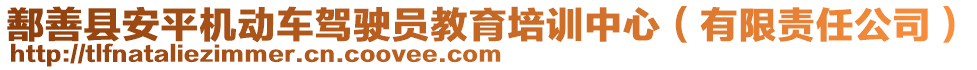 鄯善縣安平機動車駕駛員教育培訓中心（有限責任公司）