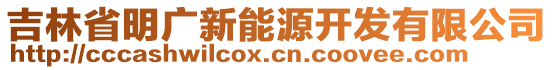 吉林省明廣新能源開(kāi)發(fā)有限公司