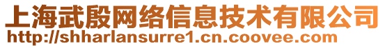 上海武殷網(wǎng)絡(luò)信息技術(shù)有限公司