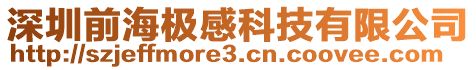 深圳前海極感科技有限公司