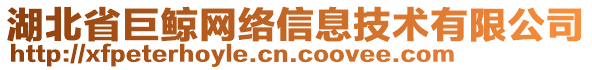 湖北省巨鯨網(wǎng)絡(luò)信息技術(shù)有限公司