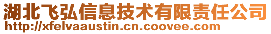 湖北飛弘信息技術有限責任公司