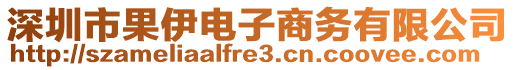 深圳市果伊電子商務(wù)有限公司