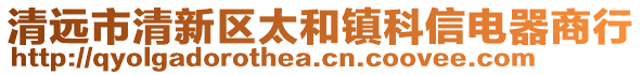 清遠(yuǎn)市清新區(qū)太和鎮(zhèn)科信電器商行