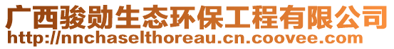 廣西駿勛生態(tài)環(huán)保工程有限公司