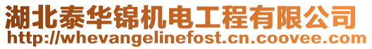 湖北泰華錦機電工程有限公司