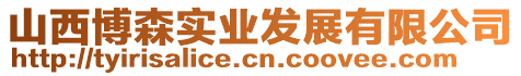 山西博森實業發展有限公司