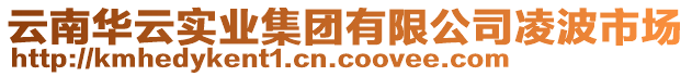 云南華云實業(yè)集團有限公司凌波市場