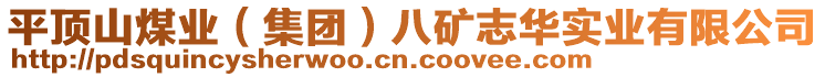 平頂山煤業(yè)（集團(tuán)）八礦志華實業(yè)有限公司