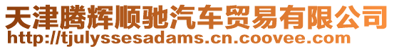 天津騰輝順馳汽車貿易有限公司