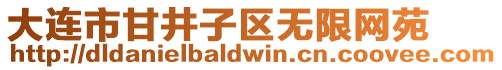 大連市甘井子區(qū)無限網(wǎng)苑