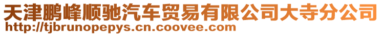 天津鵬峰順馳汽車貿易有限公司大寺分公司