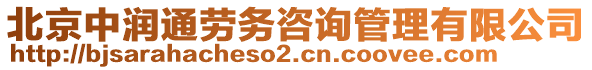 北京中潤通勞務(wù)咨詢管理有限公司
