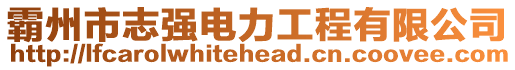 霸州市志強(qiáng)電力工程有限公司