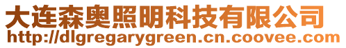 大連森奧照明科技有限公司