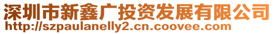 深圳市新鑫廣投資發(fā)展有限公司