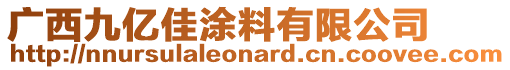 廣西九億佳涂料有限公司