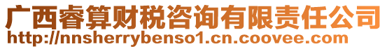 廣西睿算財(cái)稅咨詢有限責(zé)任公司