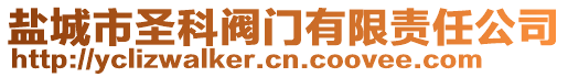 盐城市圣科阀门有限责任公司