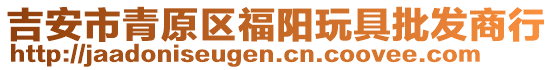 吉安市青原區(qū)福陽玩具批發(fā)商行