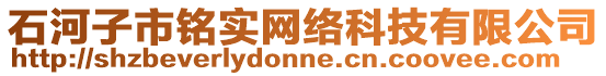 石河子市銘實網(wǎng)絡(luò)科技有限公司