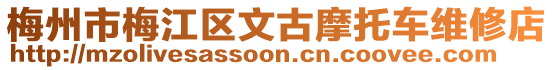 梅州市梅江區(qū)文古摩托車維修店