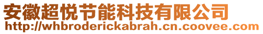 安徽超悅節(jié)能科技有限公司