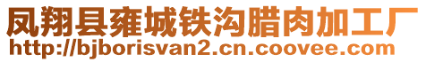 鳳翔縣雍城鐵溝臘肉加工廠