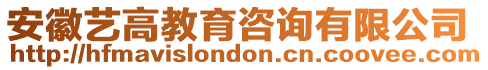 安徽藝高教育咨詢有限公司