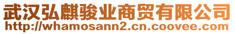 武漢弘麒駿業(yè)商貿(mào)有限公司