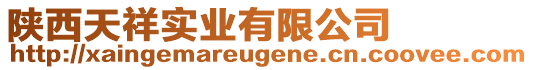 陜西天祥實(shí)業(yè)有限公司